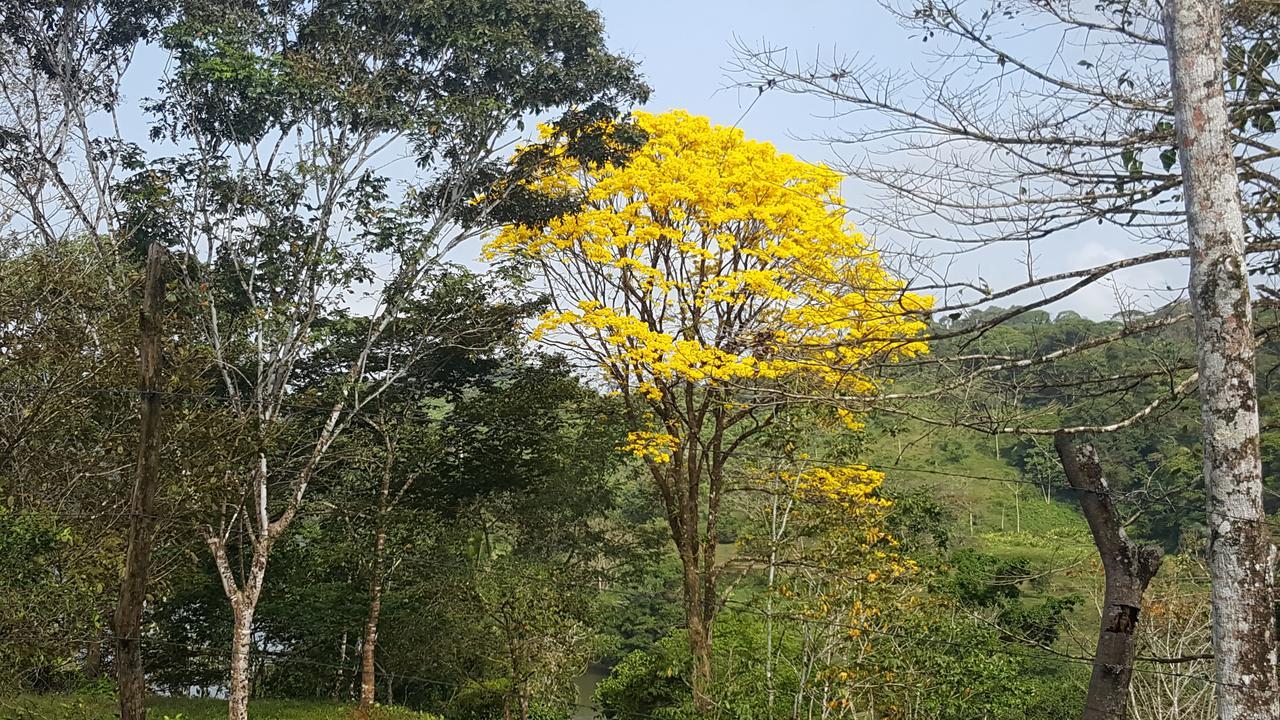 Boca Tapada Lodge
